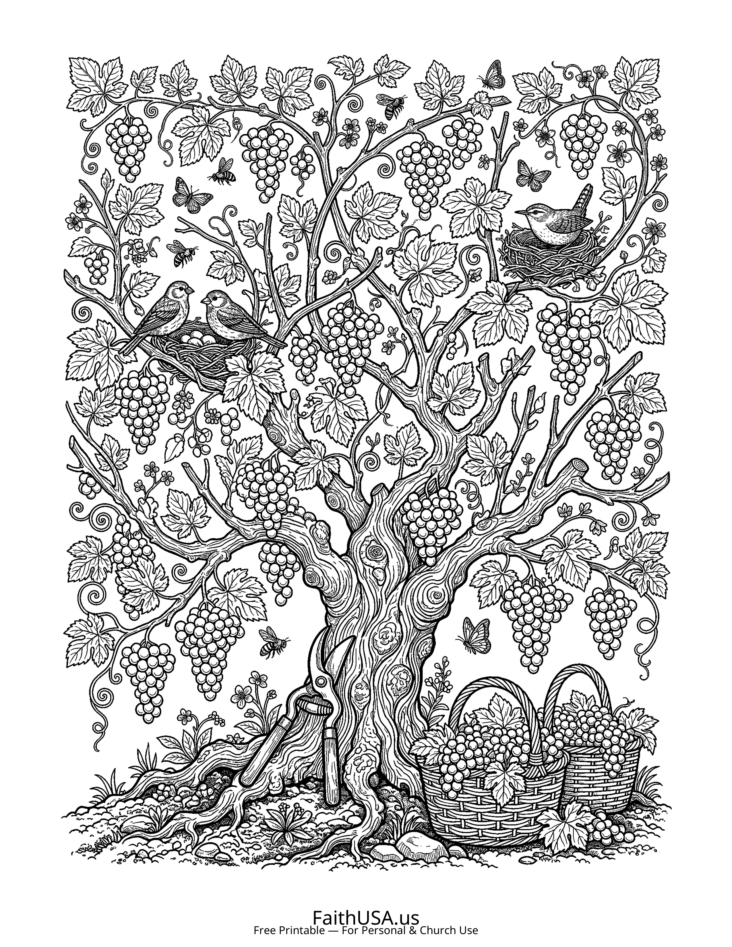 Christian Mandala coloring page featuring Vine Branches in detailed black-and-white line art