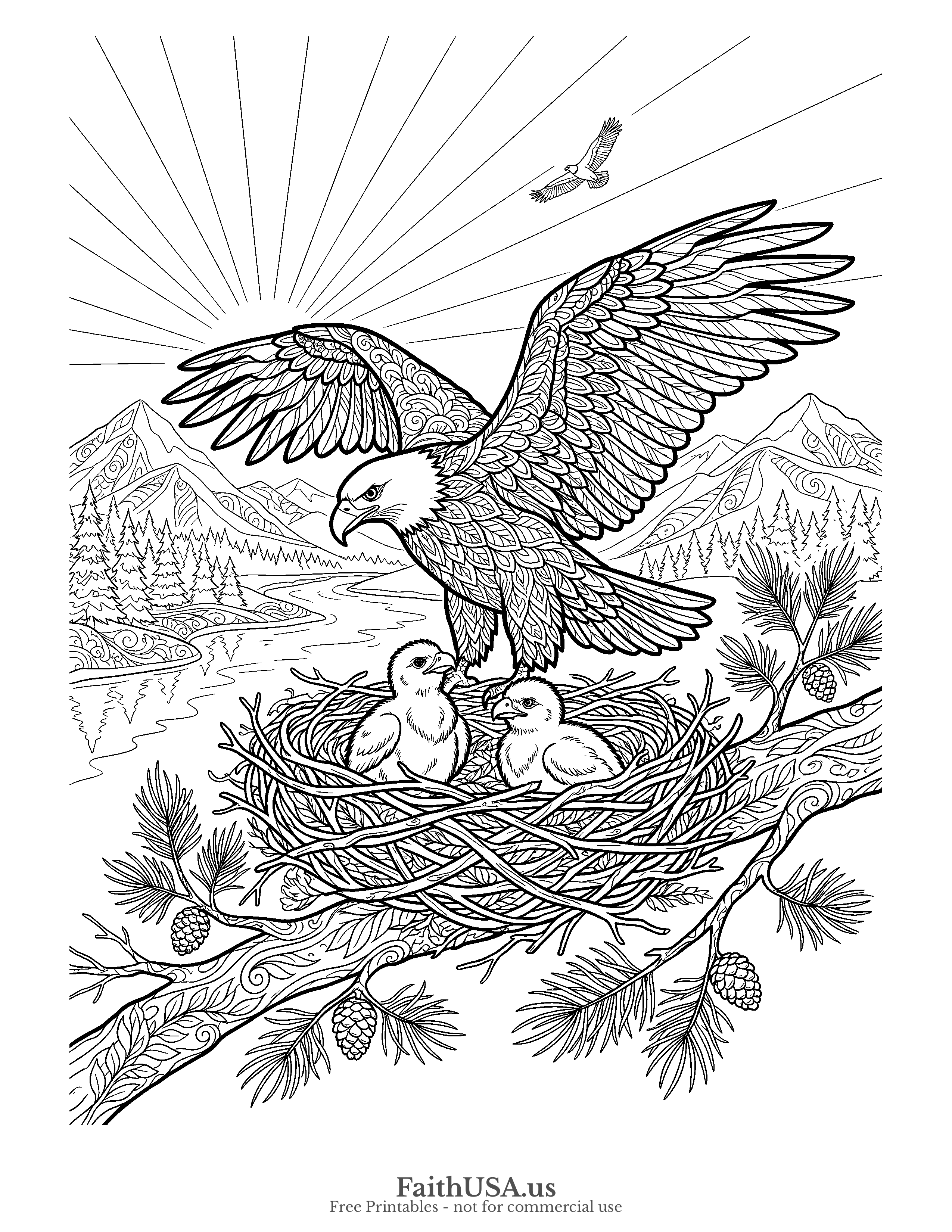 Free printable detailed bald eagle nest coloring page PDF for kids, nature studies, homeschool, and patriotic lessons